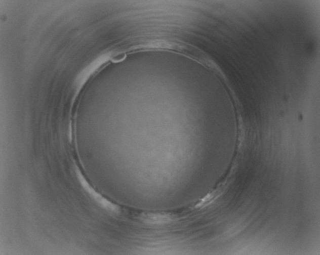 X0000052571095200507011214