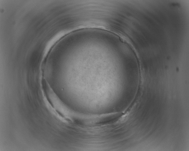 X0000052571096200507011214