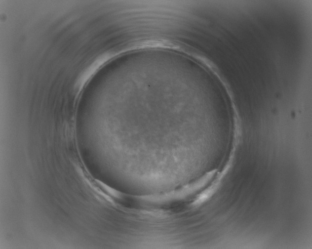 X0000052571097200507011214