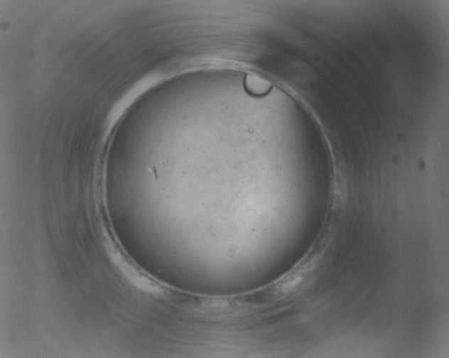 X0000052571098200507011214