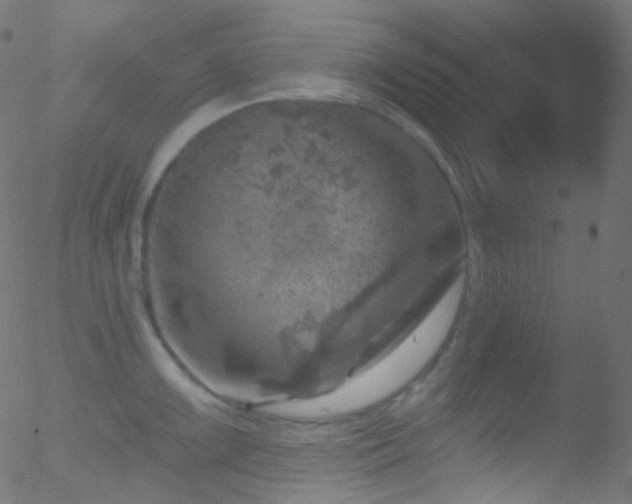 X0000052571099200507011214