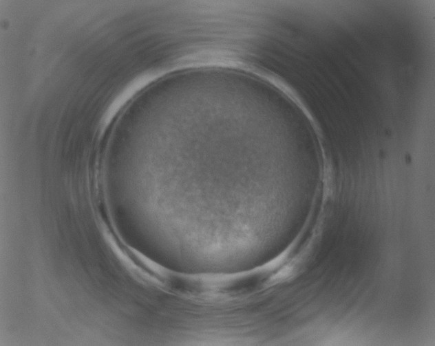 X0000052571101200507011214