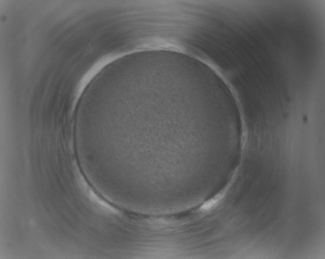 X0000052571102200507011214