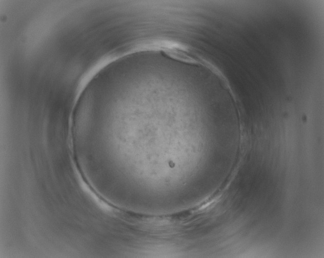 X0000052571103200507011214