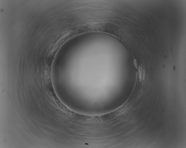 X0000052571107200507011213