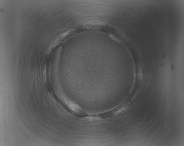 X0000052571108200507011213