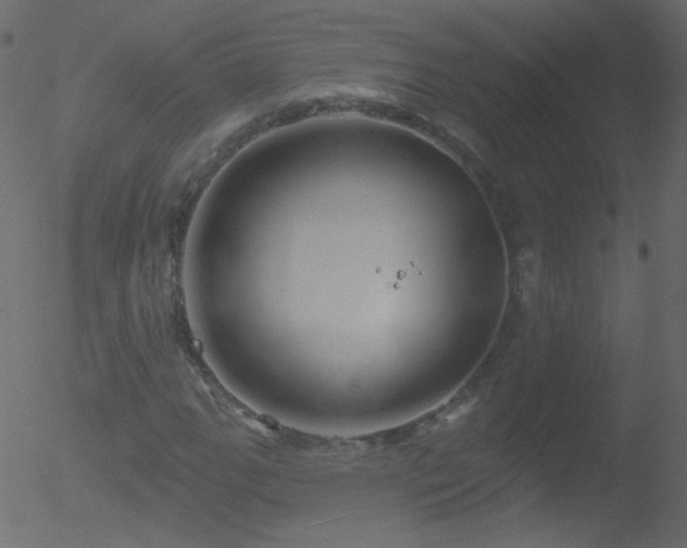 X0000052571111200507011214