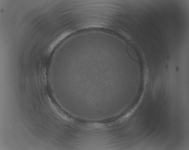 X0000052571113200507011214