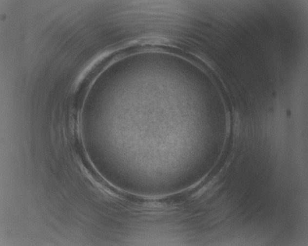 X0000052571115200507011214