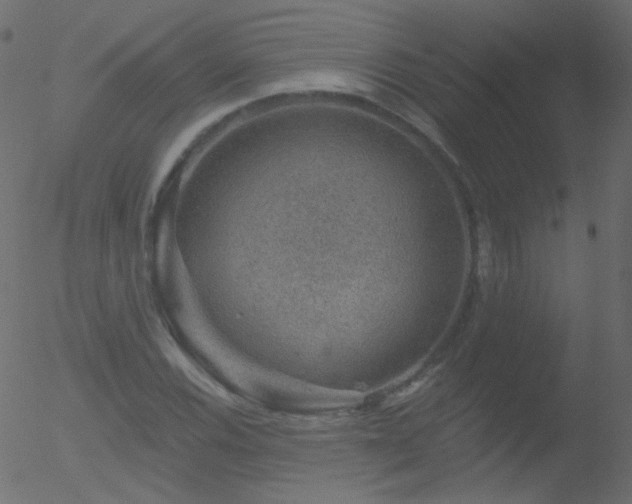 X0000052571116200507011214