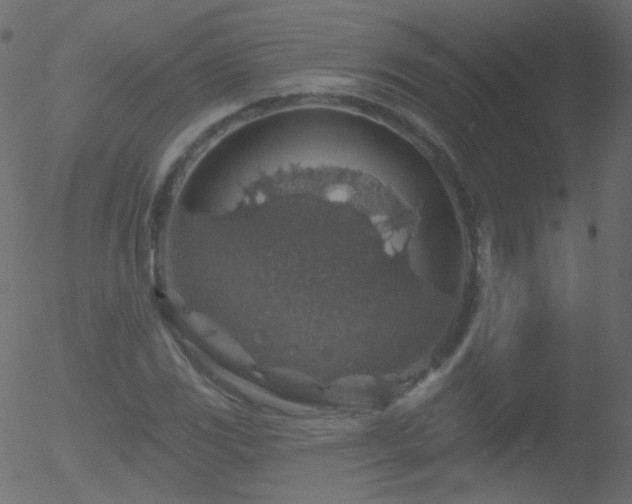 X0000052571117200507011214