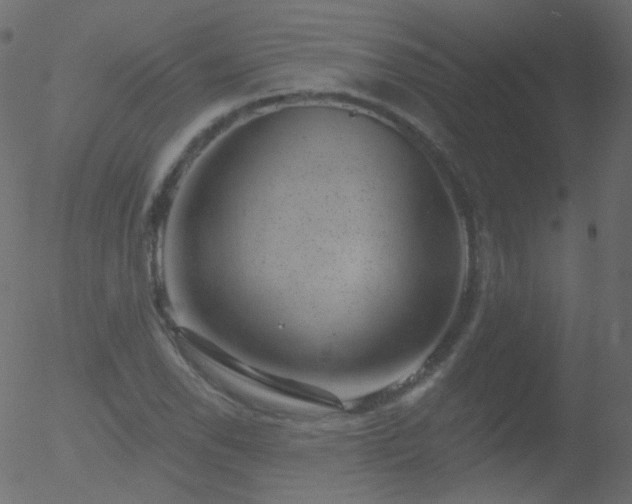 X0000052571118200507011214