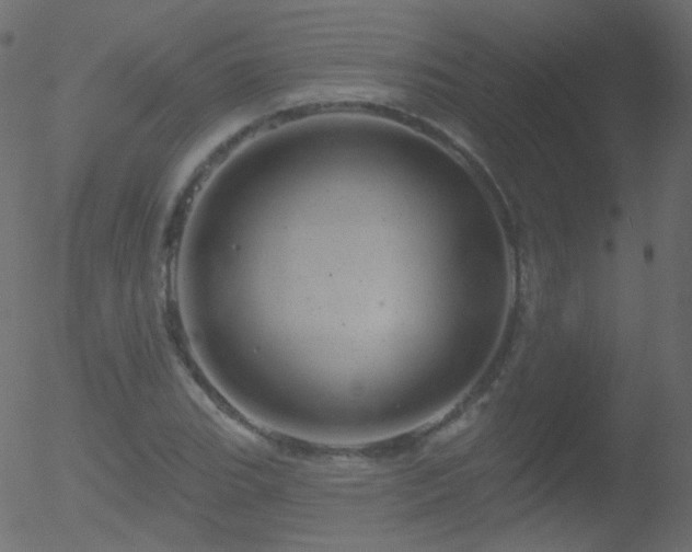 X0000052571119200507011214