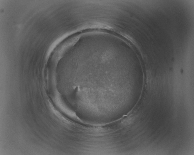 X0000052571120200507011214