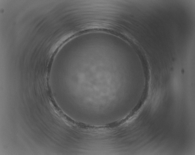 X0000052571121200507011214