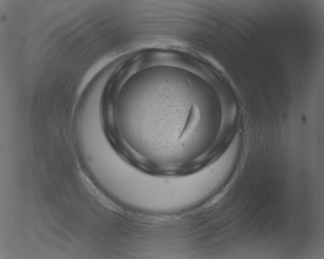 X0000052571122200507011214