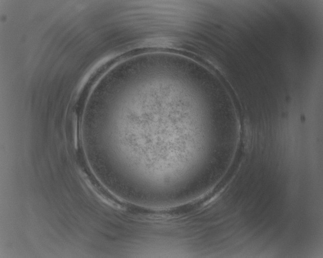 X0000052571123200507011214