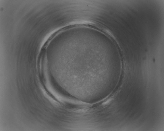 X0000052571124200507011214