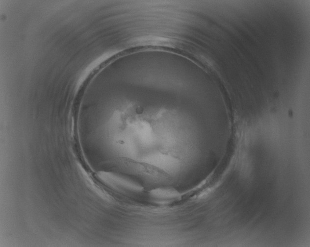 X0000052571125200507011214