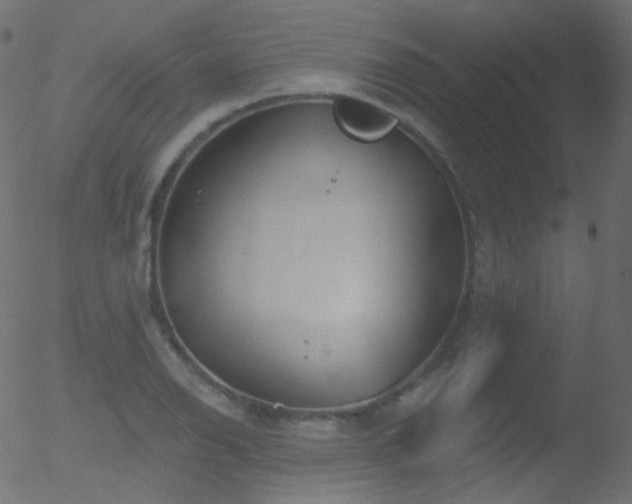 X0000052571126200507011214