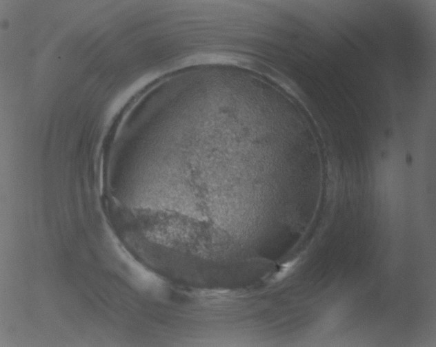 X0000052571127200507011214