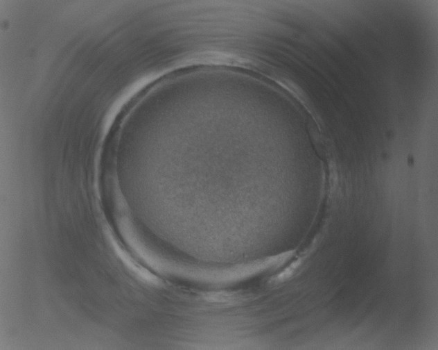 X0000052571128200507011214