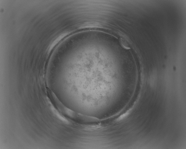 X0000052571129200507011214