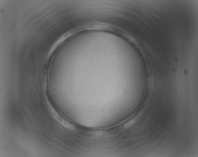 X0000052571130200507011214