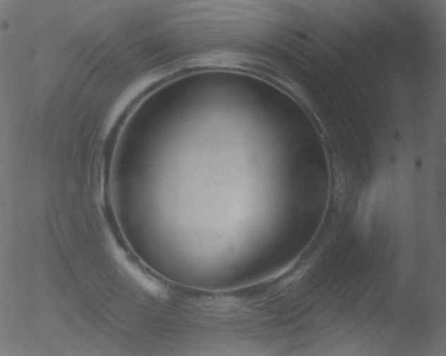 X0000052571131200507011214