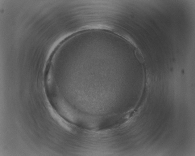 X0000052571132200507011214