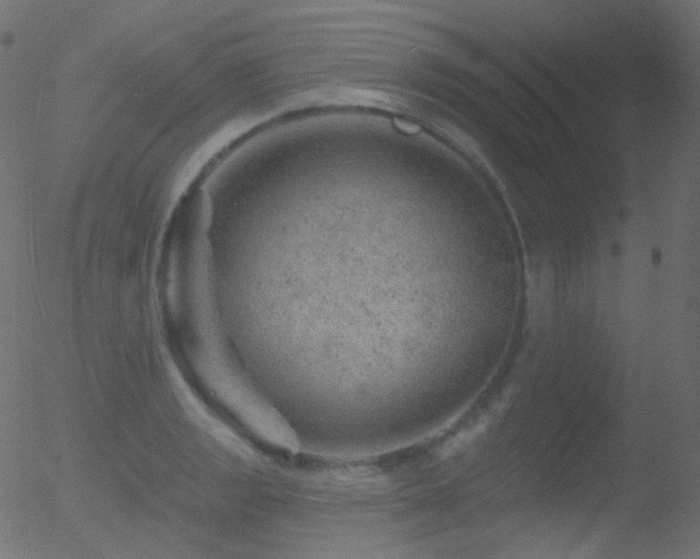 X0000052571133200507011214