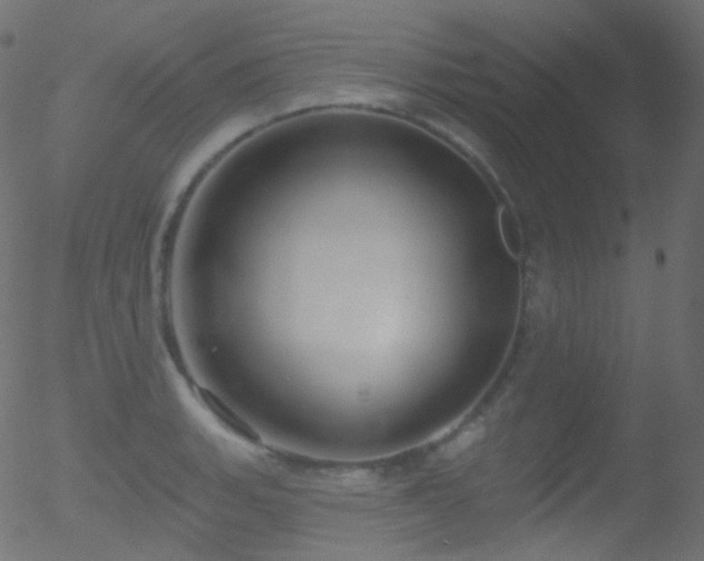 X0000052571135200507011214