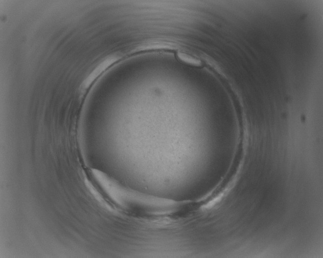 X0000052571137200507011214