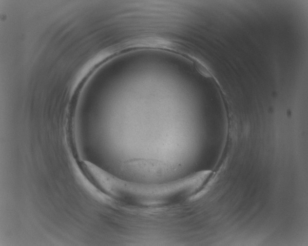 X0000052571139200507011214