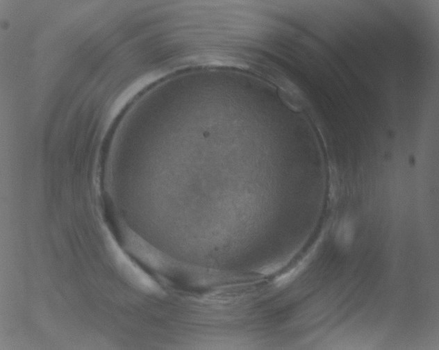 X0000052571141200507011214