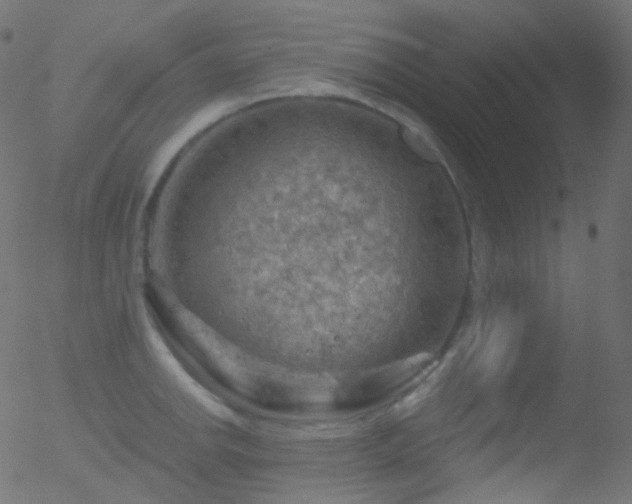 X0000052571142200507011214