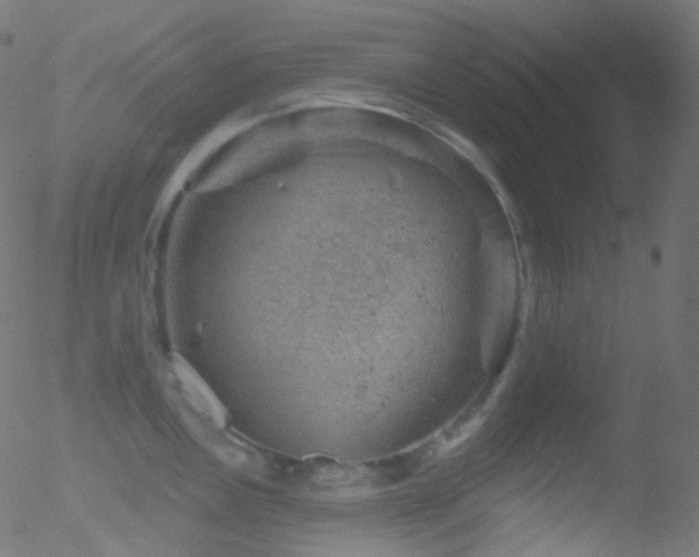 X0000052571146200507011214