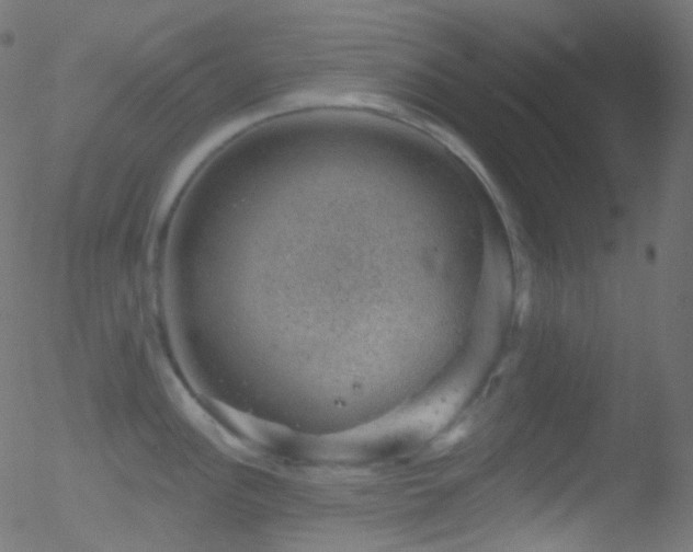 X0000052571148200507011214