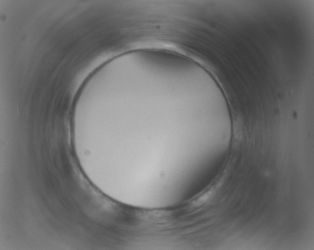 X0000052571150200507011214