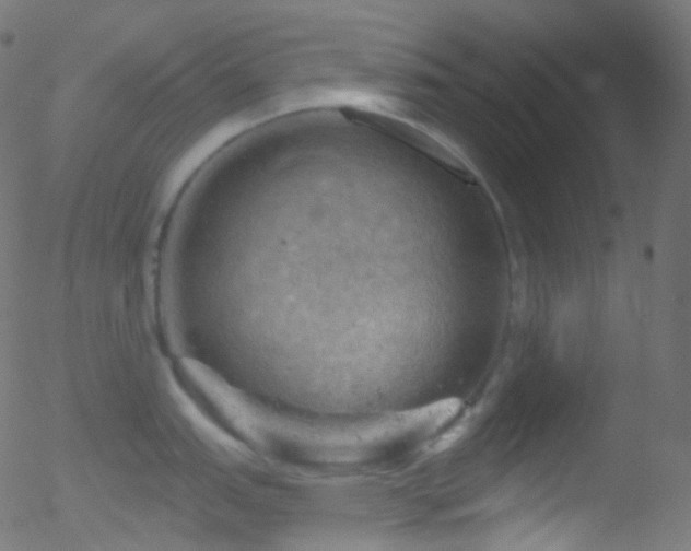 X0000052571151200507011214