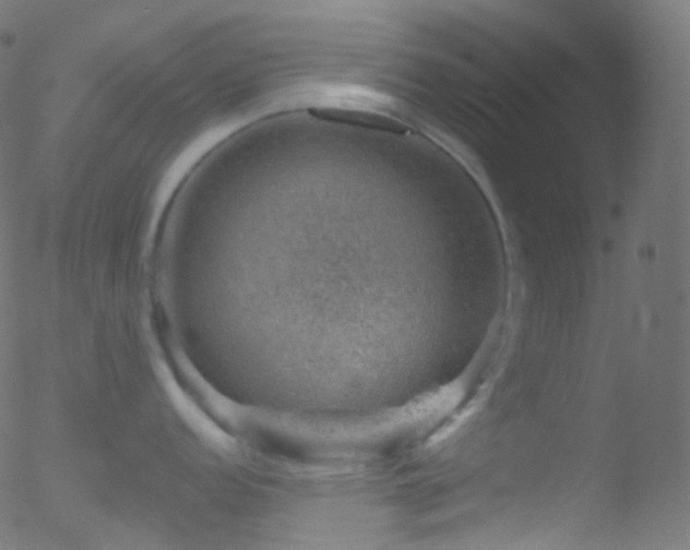 X0000052571152200507011214