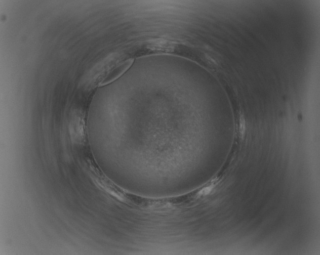 X0000052571154200507011213