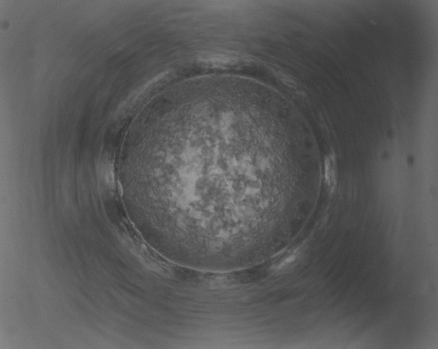 X0000052571155200507011213