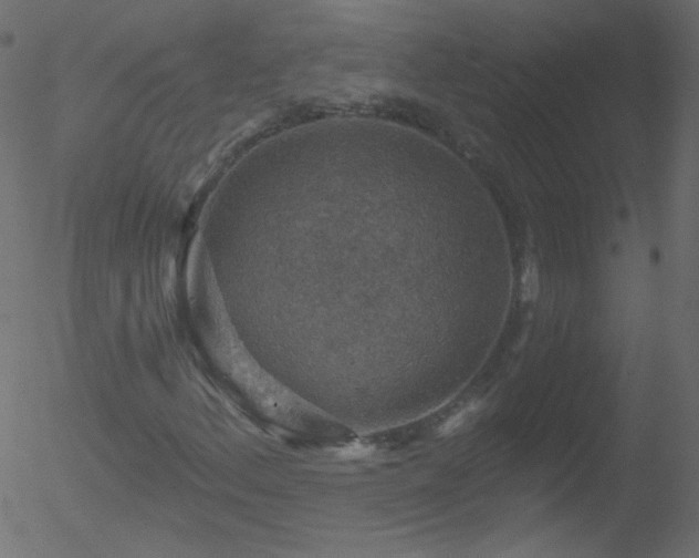 X0000052571156200507011213