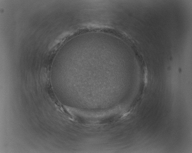 X0000052571157200507011213