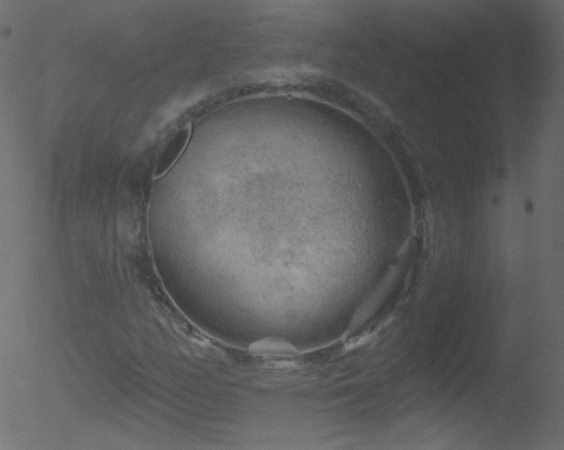 X0000052571158200507011213