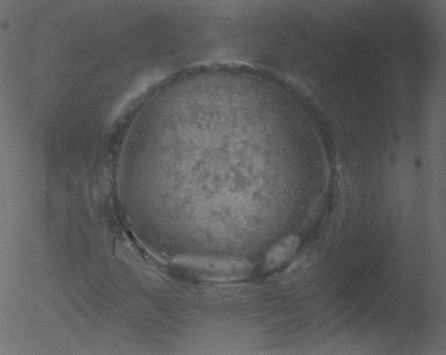 X0000052571159200507011213