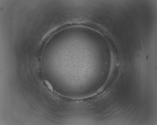 X0000052571160200507011213