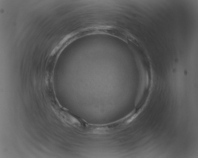 X0000052571161200507011213