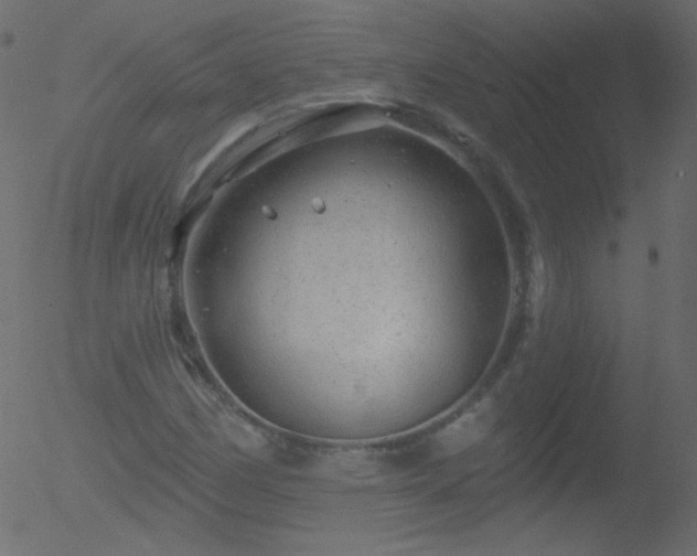 X0000052571162200507011213